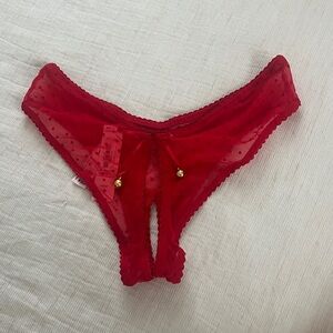 NWT VS Holiday Collection Panties- XS